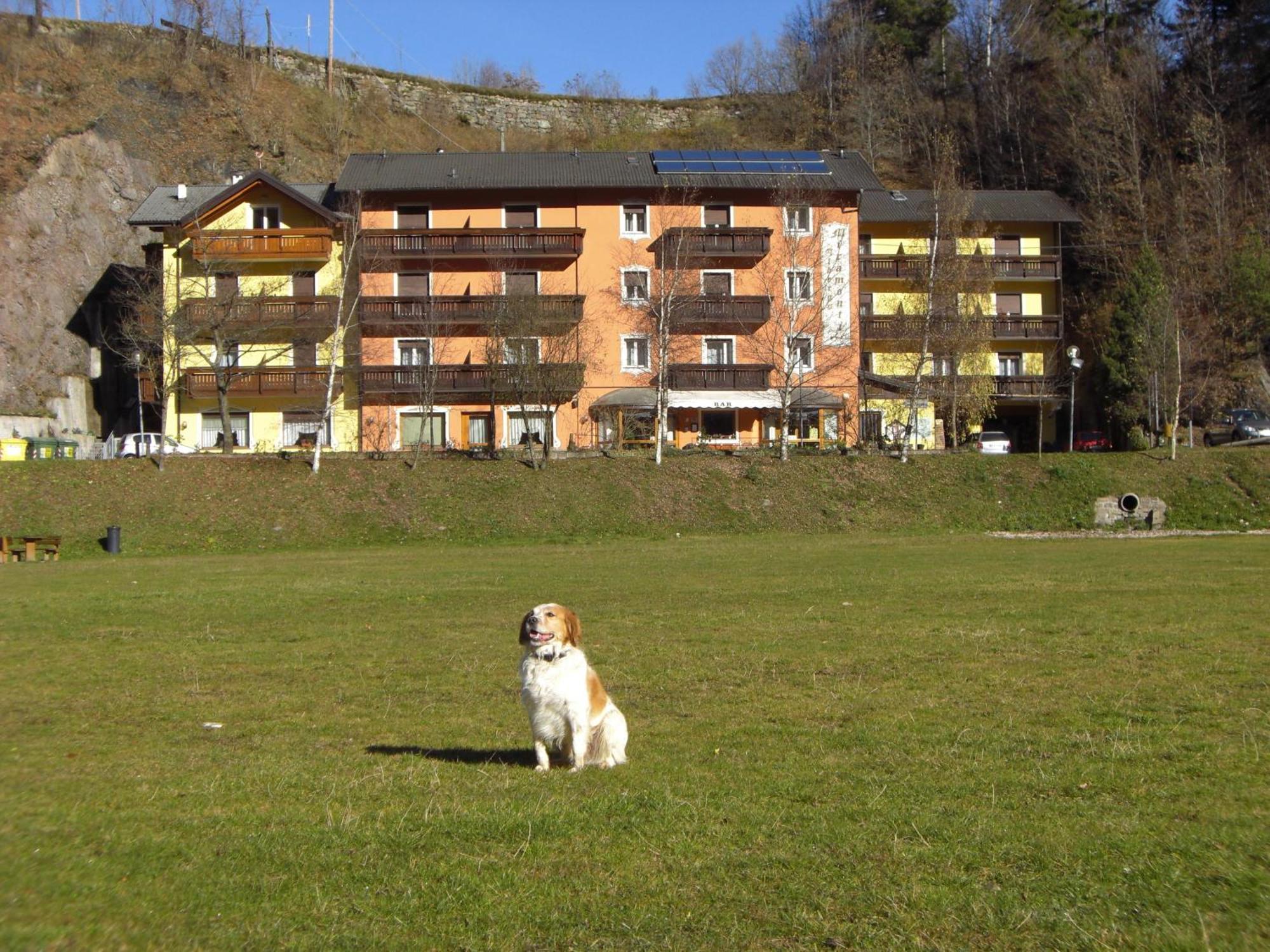 Hotel Miramonti Bedollo Zewnętrze zdjęcie